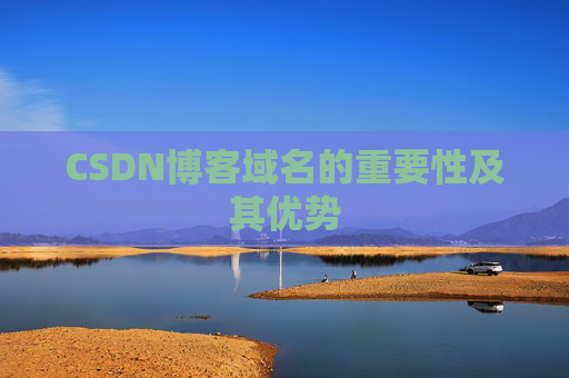 CSDN博客域名的重要性及其优势